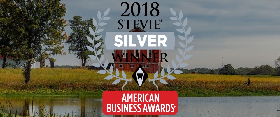 2018 Silver Stevie® Award Winner